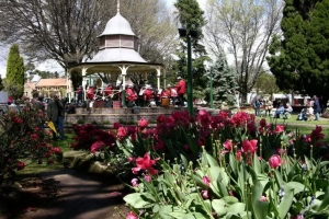 2004 Bowral Tulip Festival