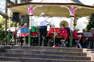 2007 Bowral Tulip Festival