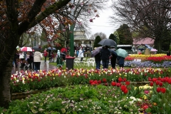 Bowral-14-edited