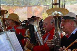 2014 Bowral Tulip Festival