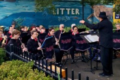 2024-0521-Trim-Place-Gladesville1