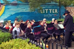 2024-0521-Trim-Place-Gladesville2